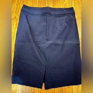The Limited Size 6 Blue Skirt